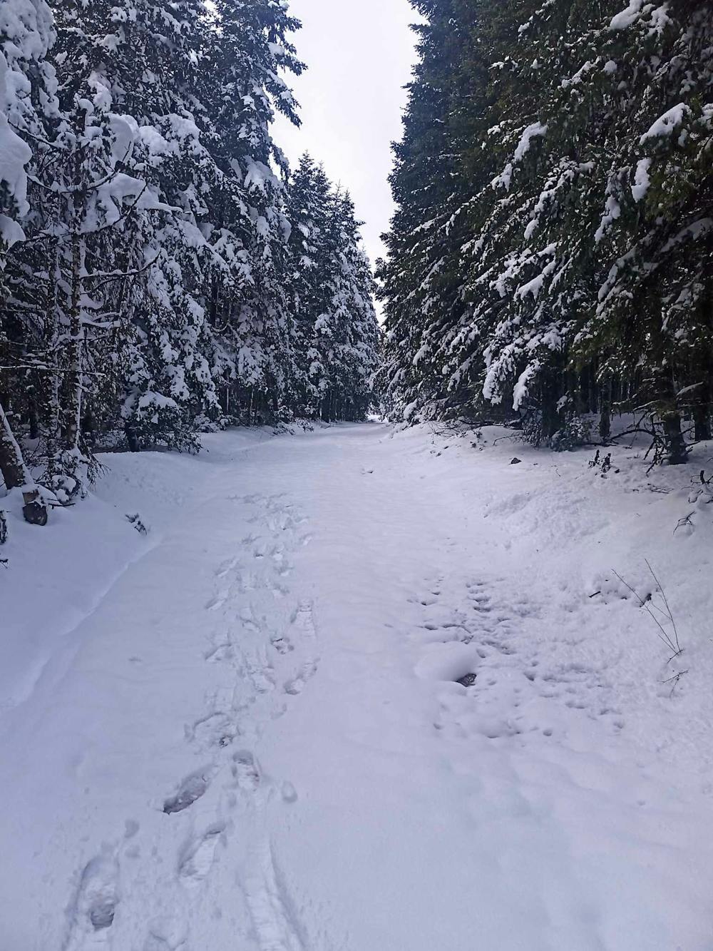 Evritania Snow Trail 2025: Άνοιξαν οι εγγραφές – Όσα πρέπει να γνωρίζετε! runbeat.gr 